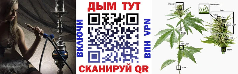 Виды наркотиков купить Ельня Амфетамин  МЕФ  ГАШИШ  Конопля  Кокаин  APVP 
