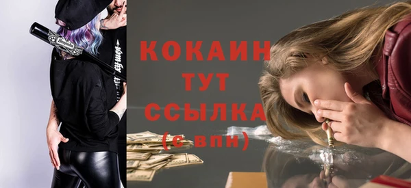 прущая мука Вяземский