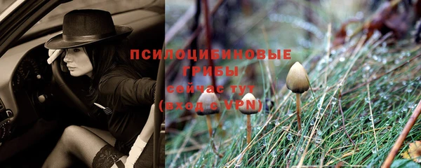 прущая мука Вяземский