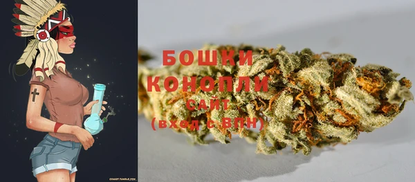 прущая мука Вяземский