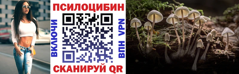 закладка  Ельня  Псилоцибиновые грибы ЛСД 